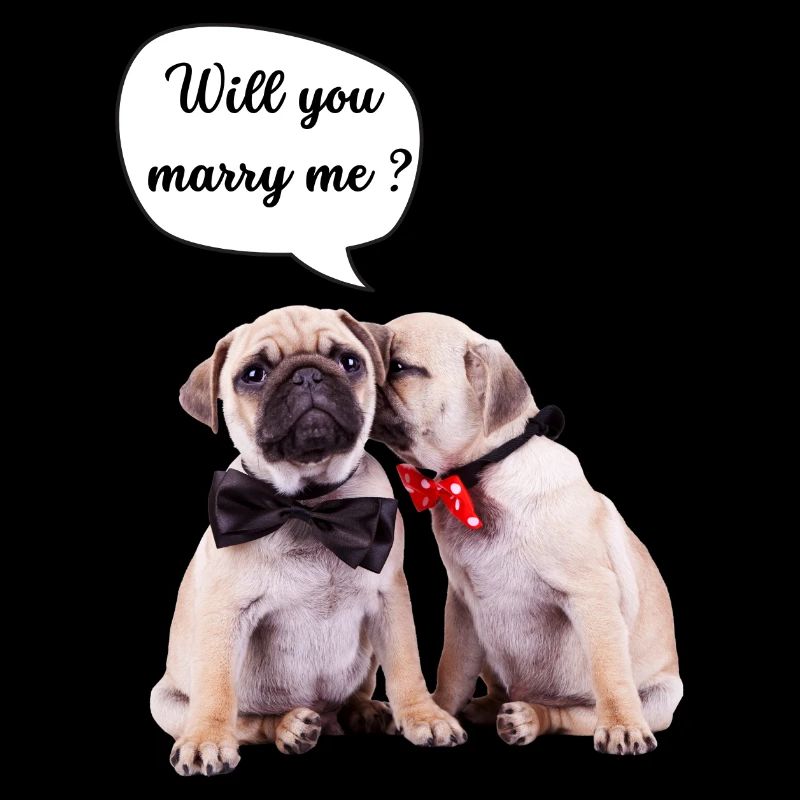 Willst du mich heiraten?