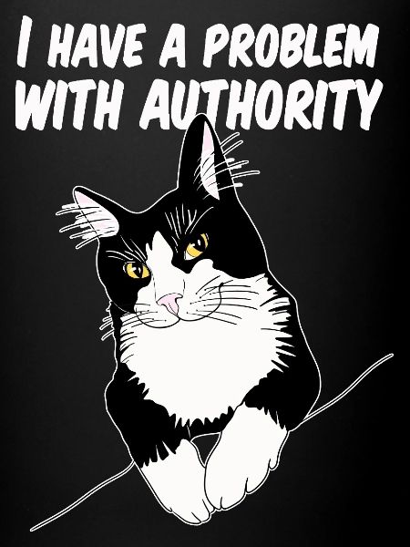 Cat Defies Authority
