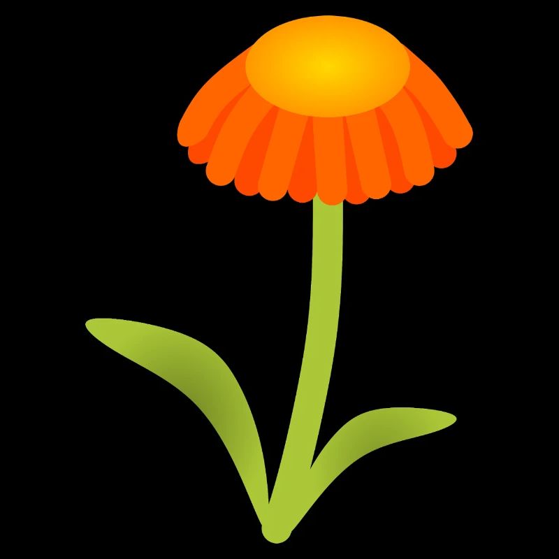 Orange Daisy on Lime Green Stem