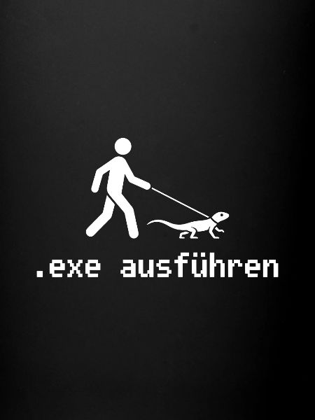 exe ausführen