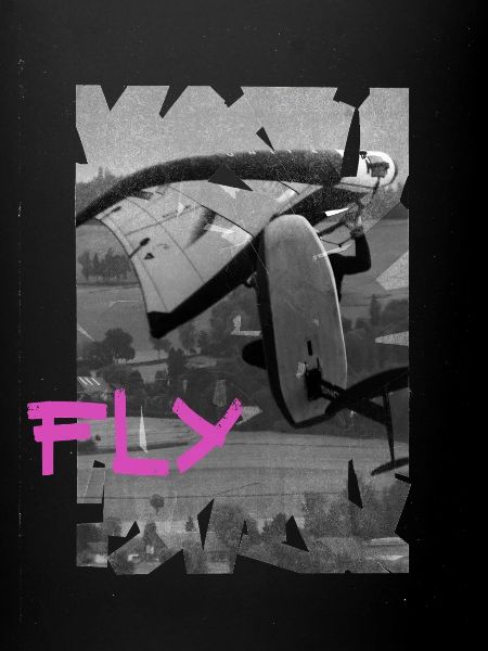 Wingfoiler Freestyle