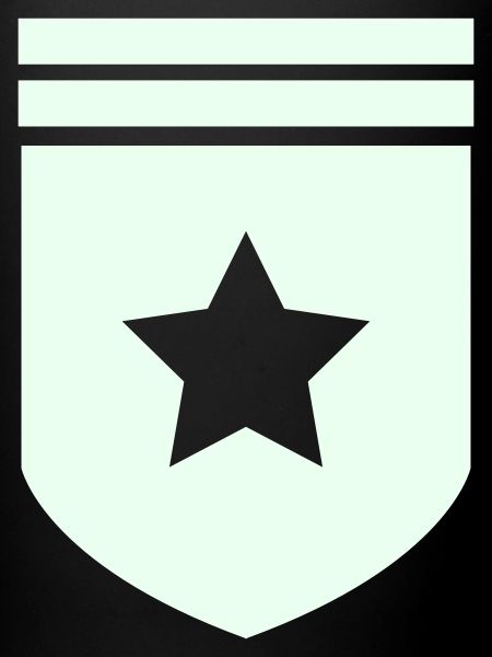 Abzeichen Stern
