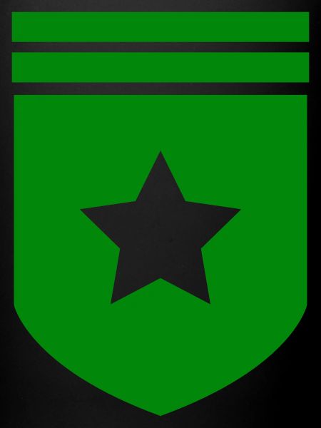 Abzeichen Stern