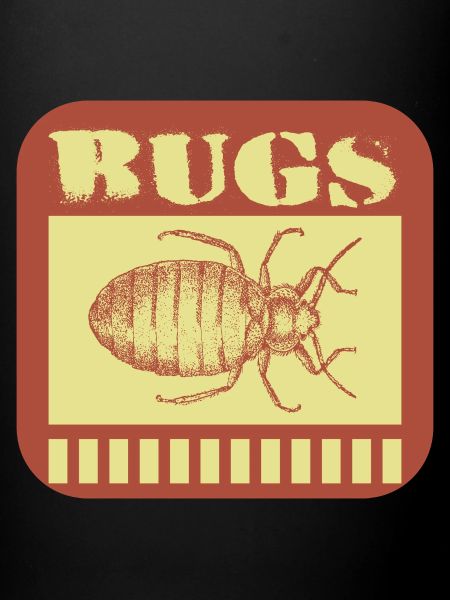 Insectes bugs