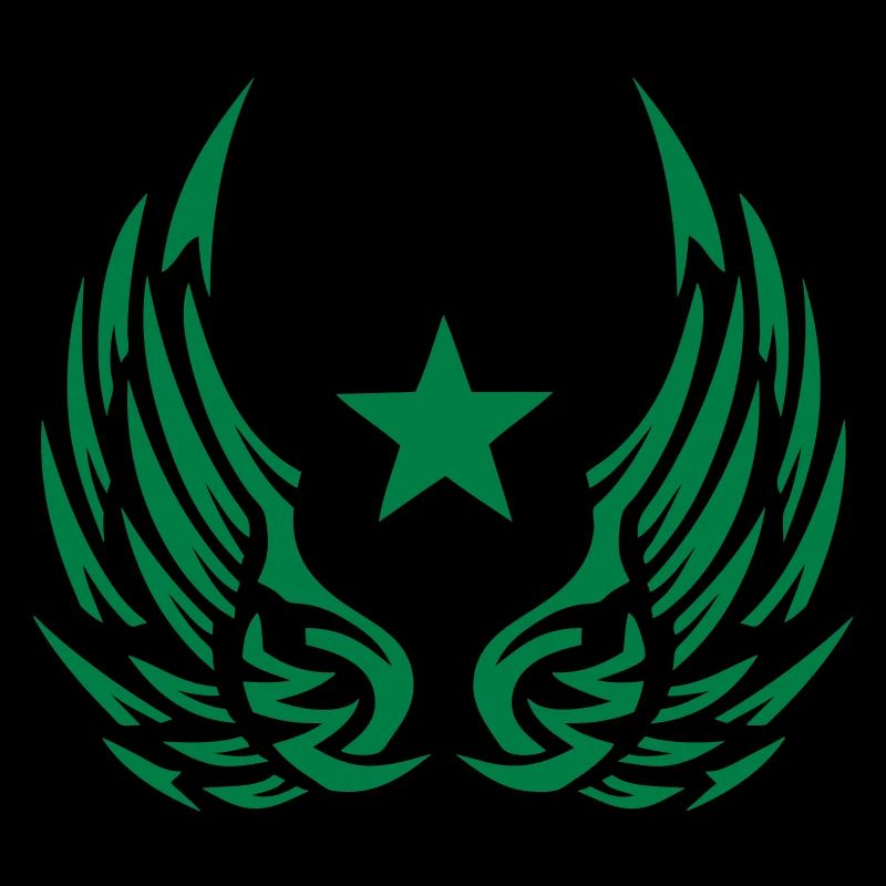 aile aille etoile logo 28052