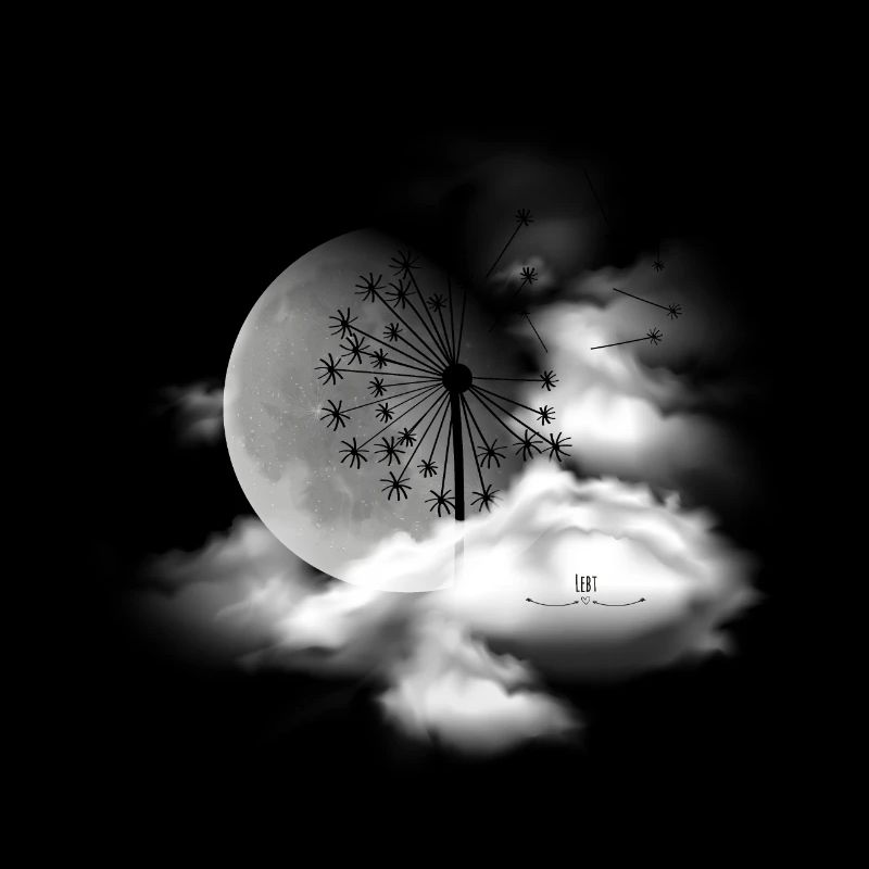 new beginning