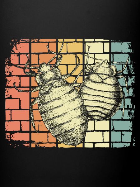 Insectes