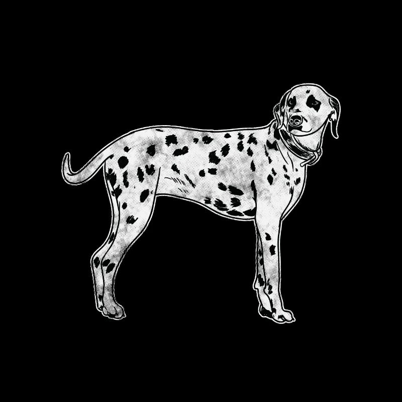 Dalmatiens