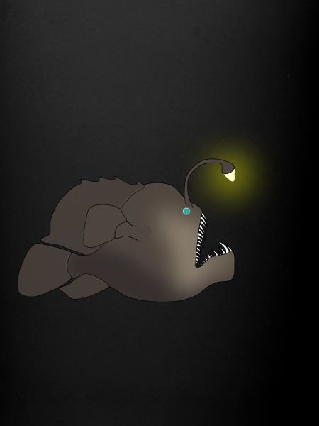 scalaire