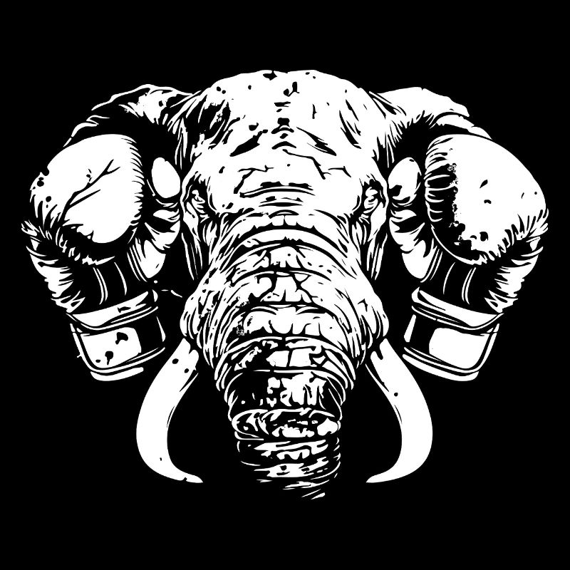 Elefant Boxen Kämpfer MMA