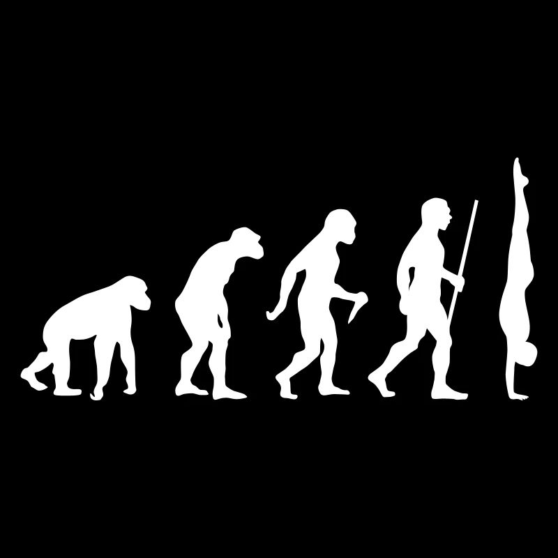 Evolution Handstand Akrobatik Gymnastik