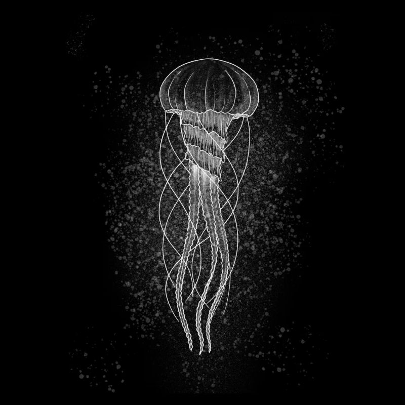 Jellyfish white