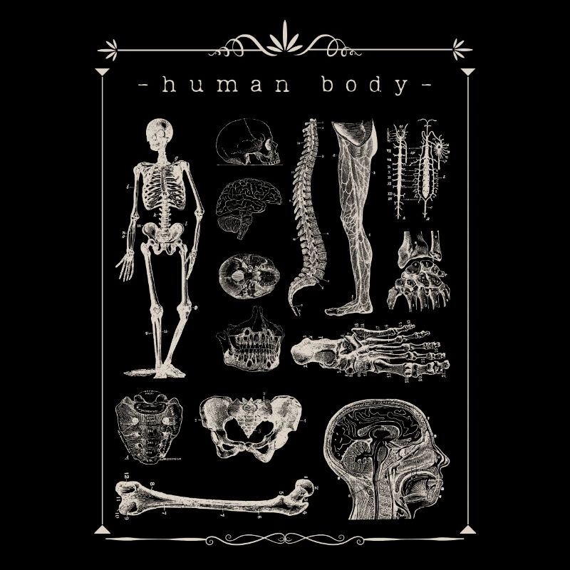 doctor radiology retro X-ray study medicine