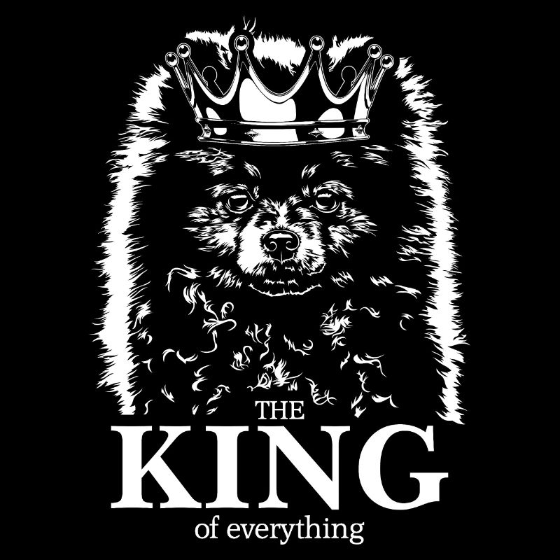 Zwergspitz Pomeranian King of everything Wilsigns