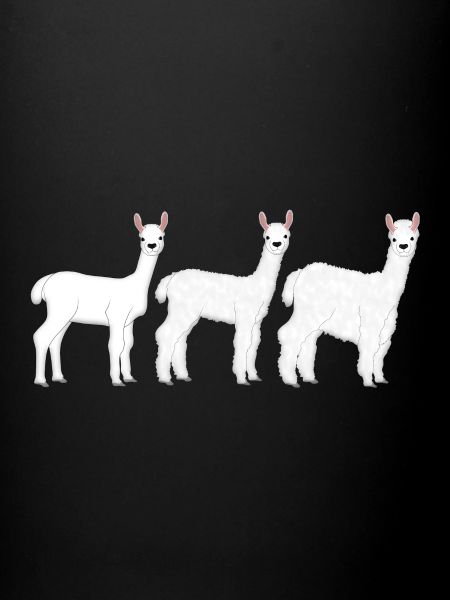 Alpaca wool