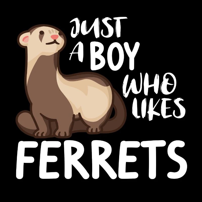Frettchen Wiesel Ferret Just a boy