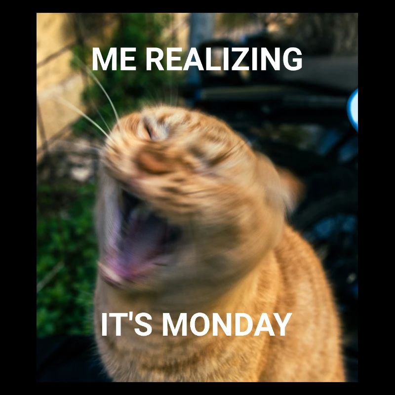 ME REALIZING IT'S MONDAY – Rote Katzen Memes