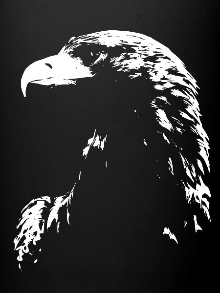 aigle
