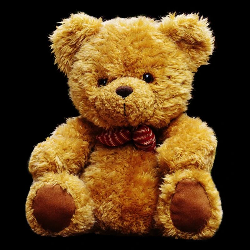 Ours en peluche