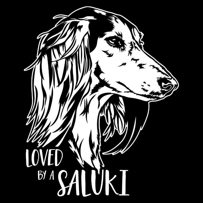 Aimé par un chien SALUKI disant Greyhound Wilsigns
