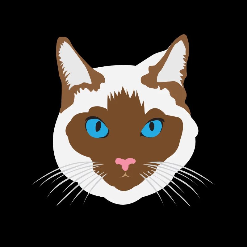 chats face à tête de chaton chaton gueule de bois