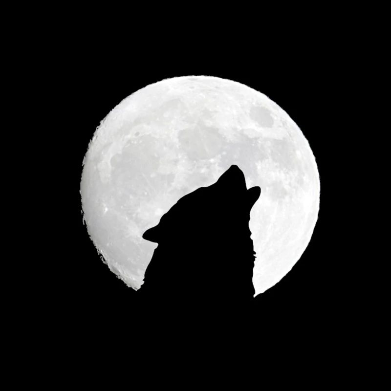hurlement de la lune