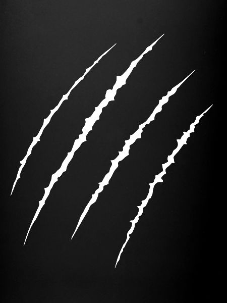 Claw marks