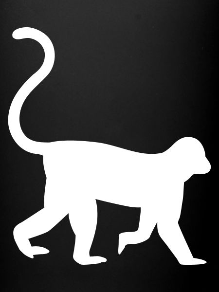 monkey