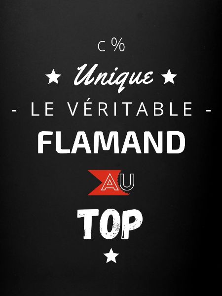 Le véritable flamand