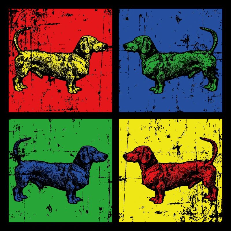 Hunde Dackel