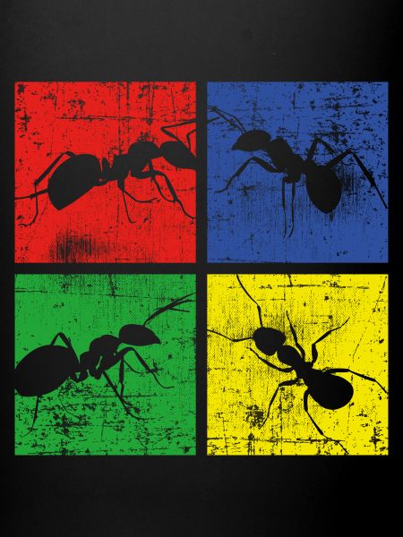 Ant