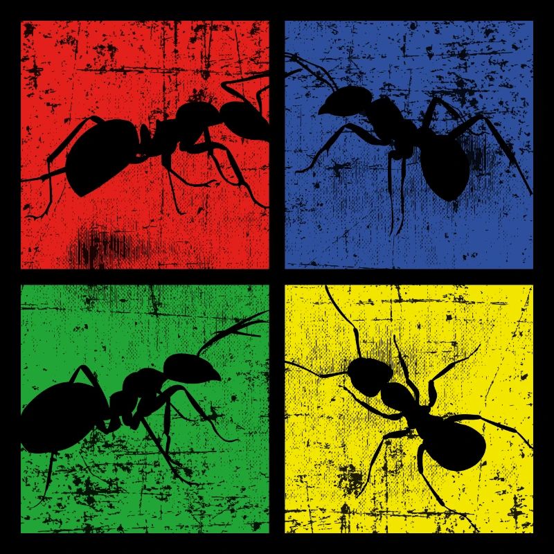 Ant