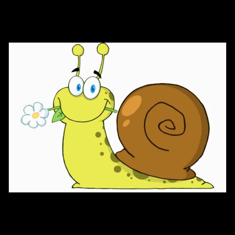 Snail
