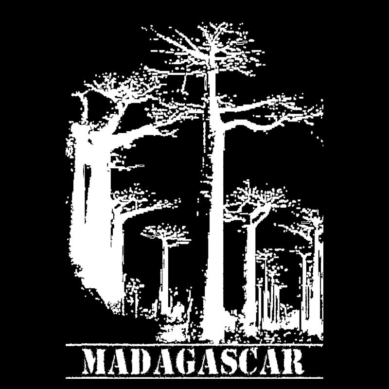 Baobab Madagascar