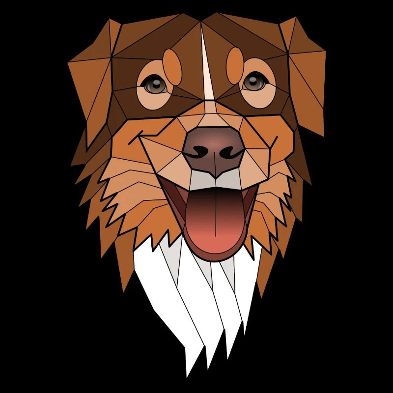 Australischer Schäferhund - Laska