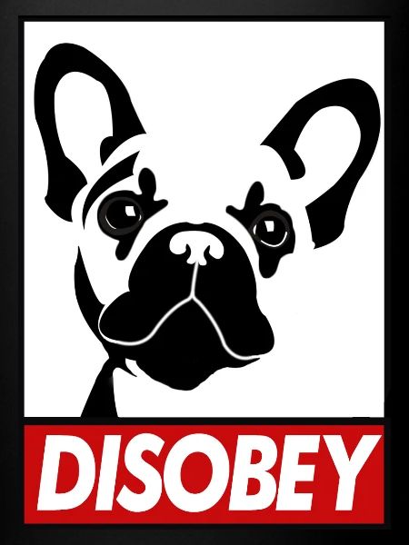 Désobéir