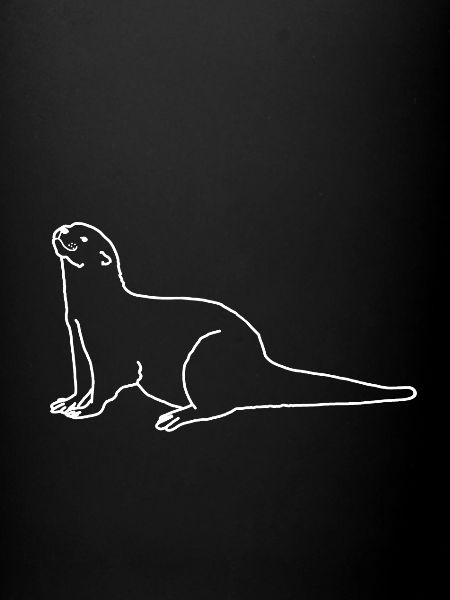 Otter