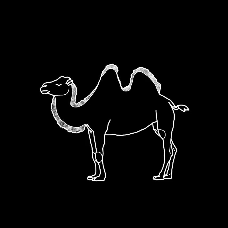 camel