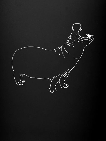 hippopotamus