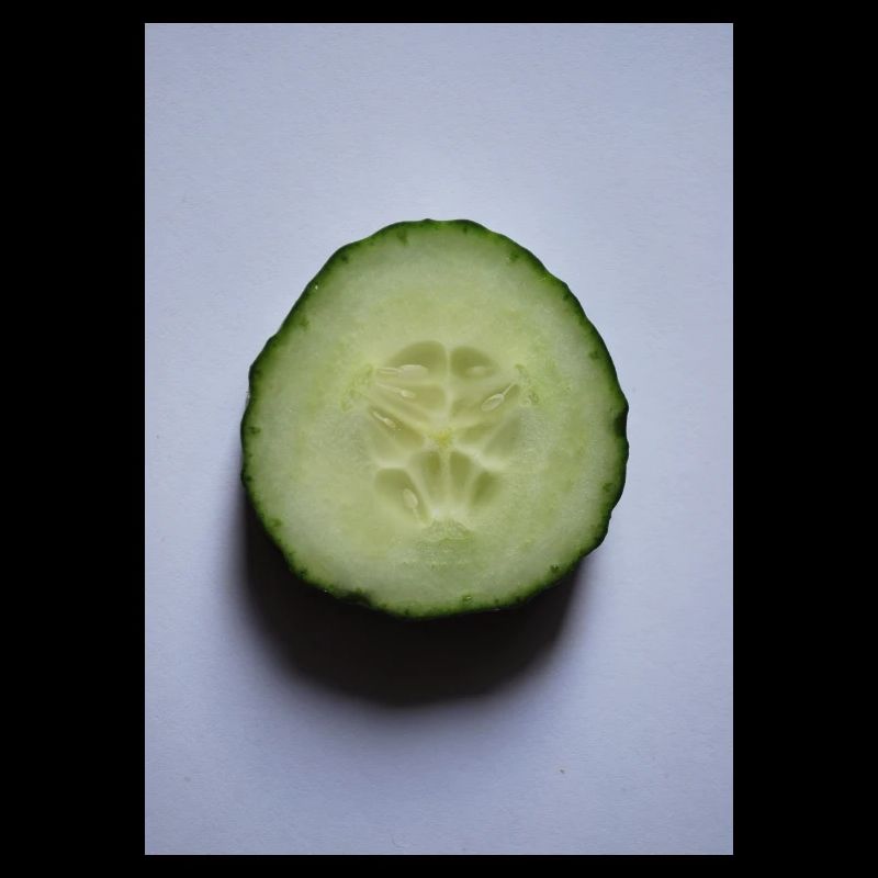 concombre