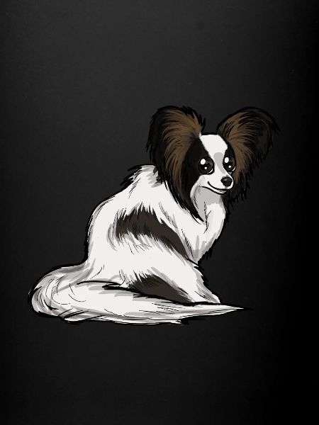 Papillon