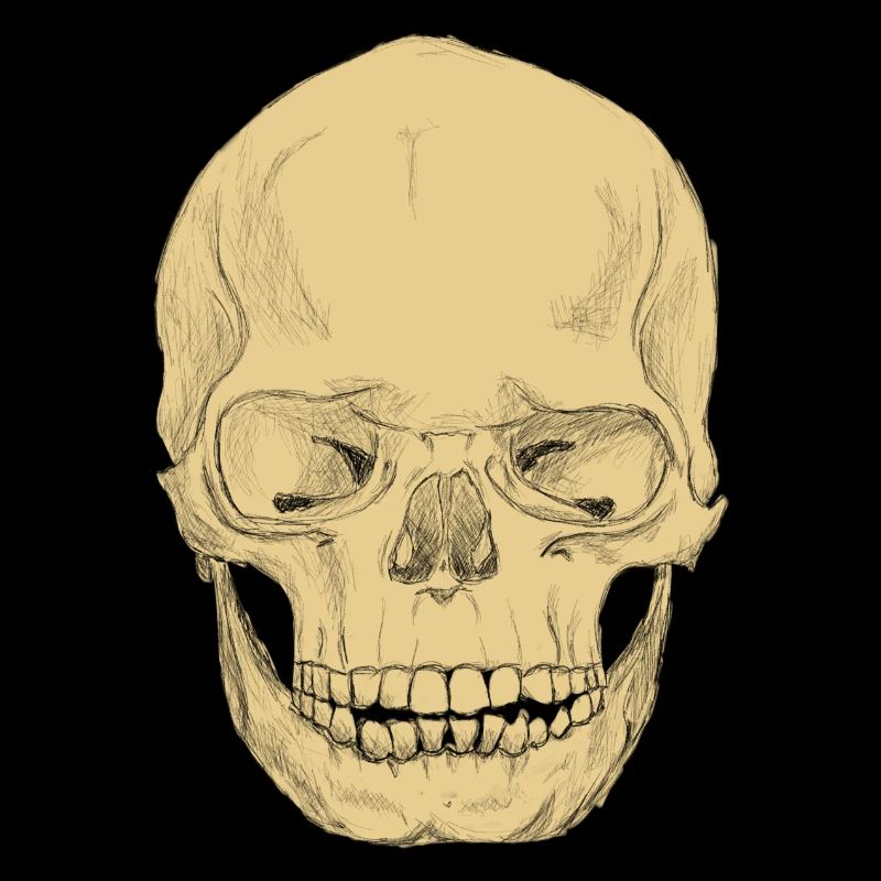 SkullPlain