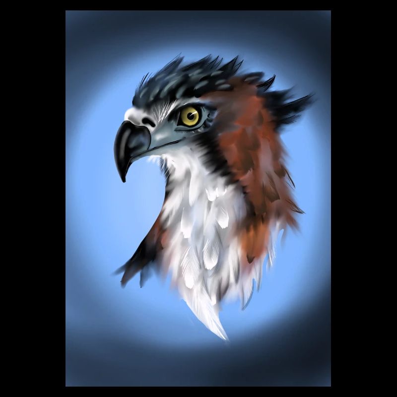 raptor head
