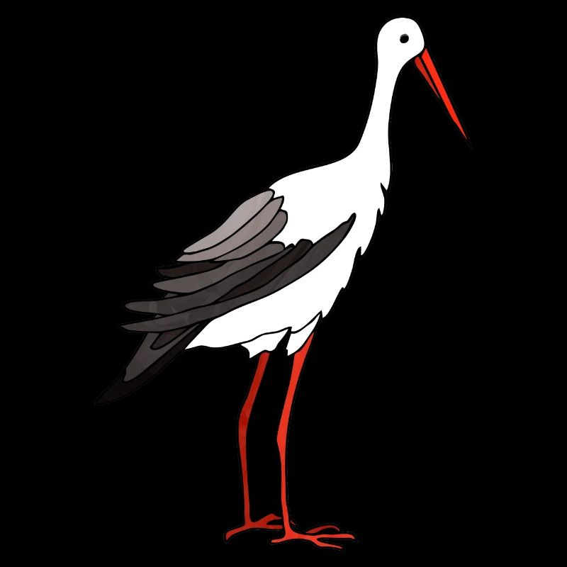 Cicogna