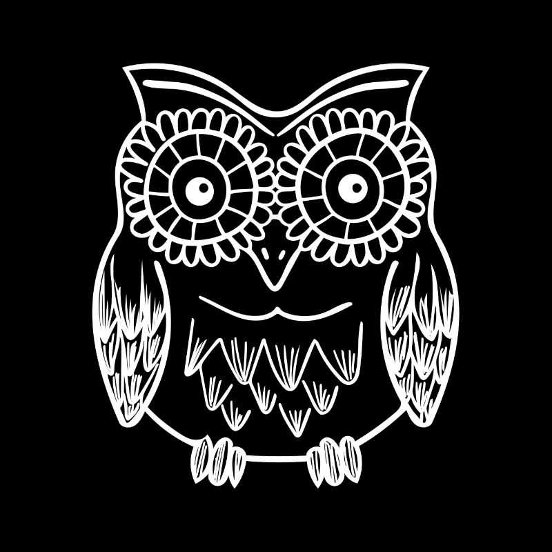 Lustige Eule Nachtvogel