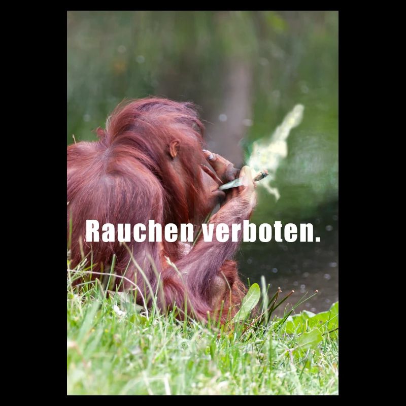 Interdiction de fumer