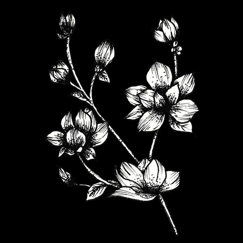 Dessin botanique / Calligraphie - branche fleur