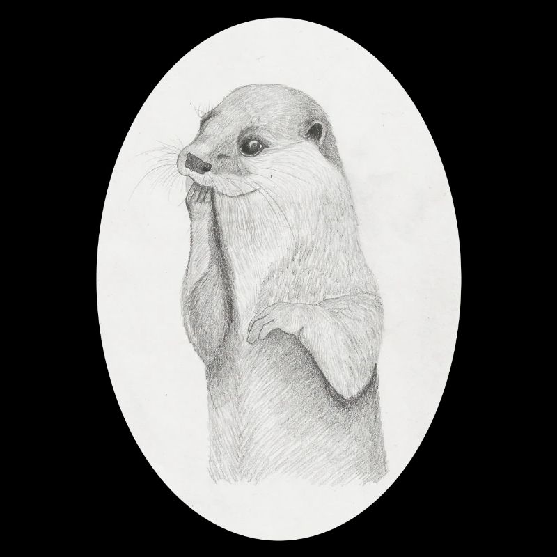 Otter Oval