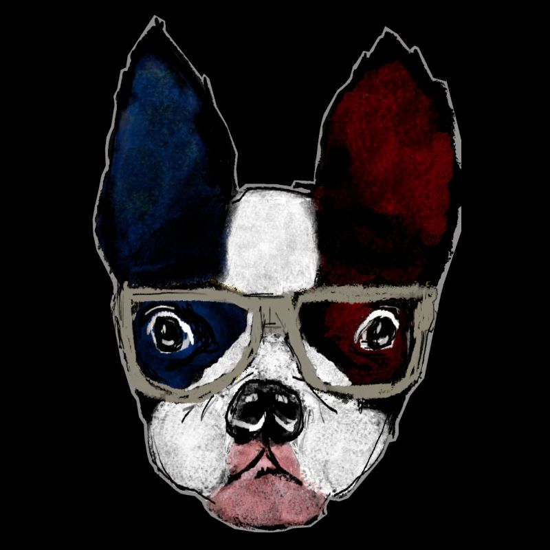 Boston terrier