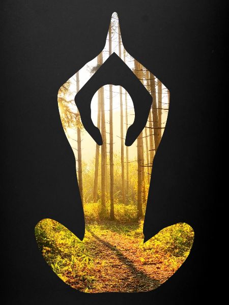 Forêt de Yoga